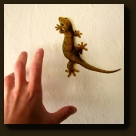 Muurschildering Gecko (Gekko)